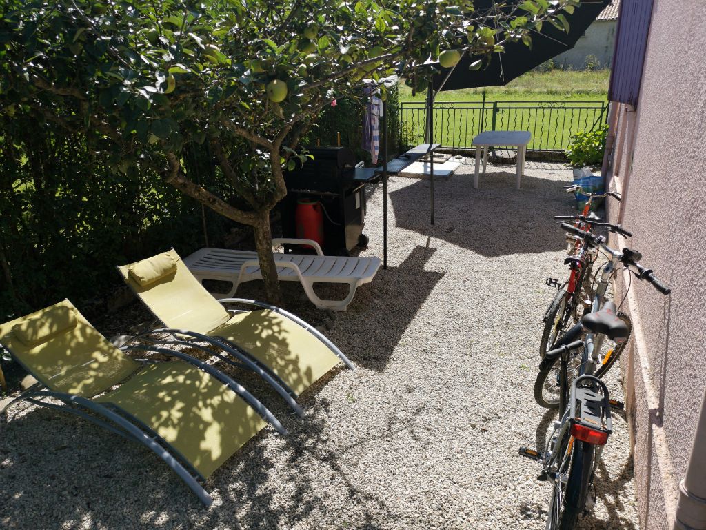 Les hortensias - Photo 5