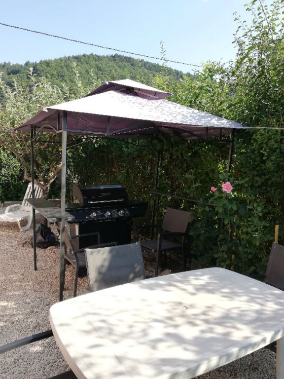 Les hortensias - Photo 9