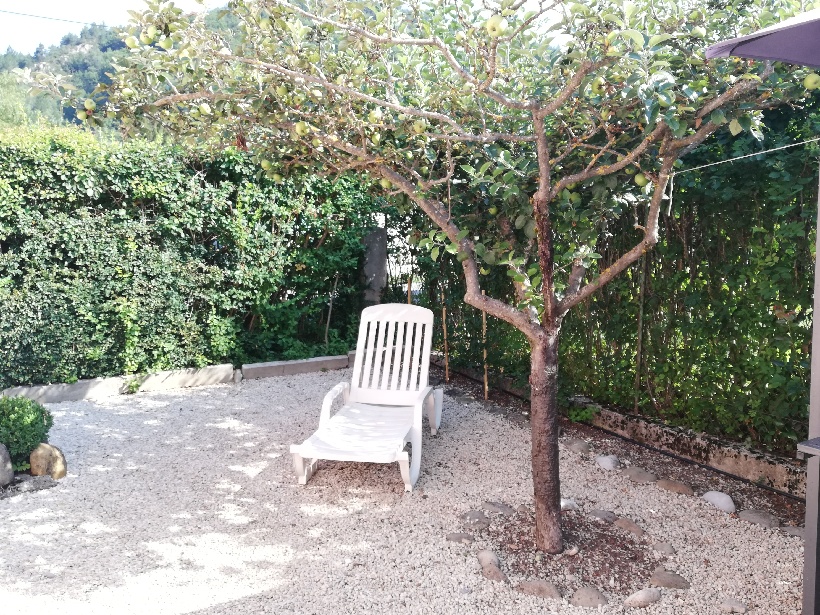 Les hortensias - Photo 10