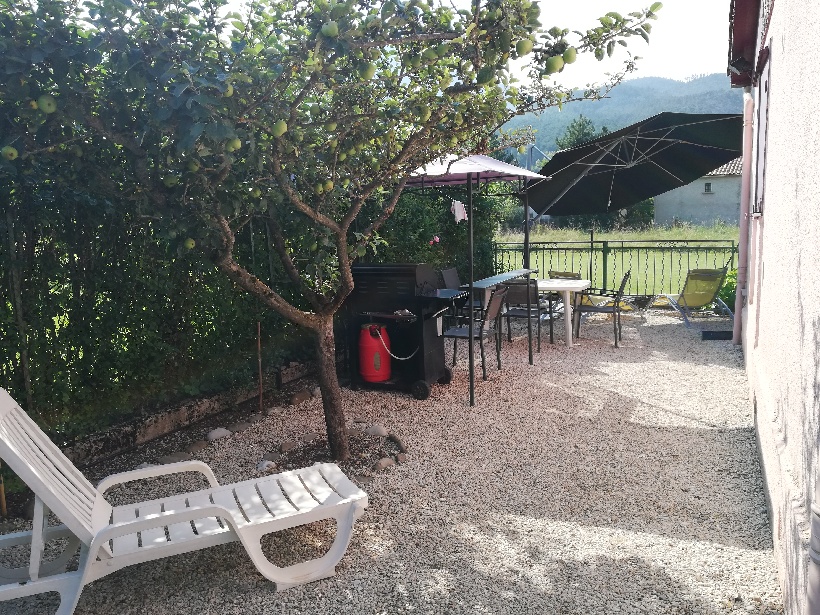 Les hortensias - Photo 11