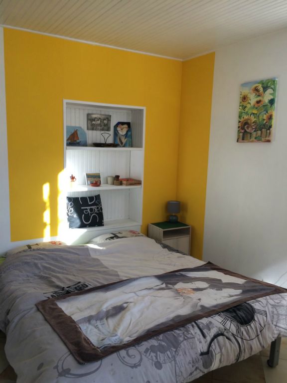 Les tournesols - Photo 3