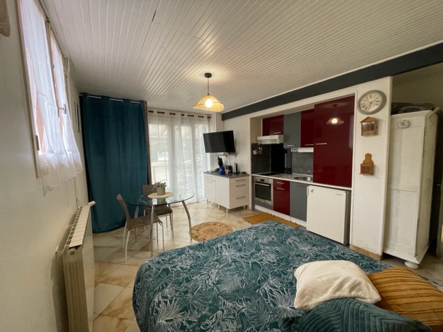 Les tournesols - Photo 7