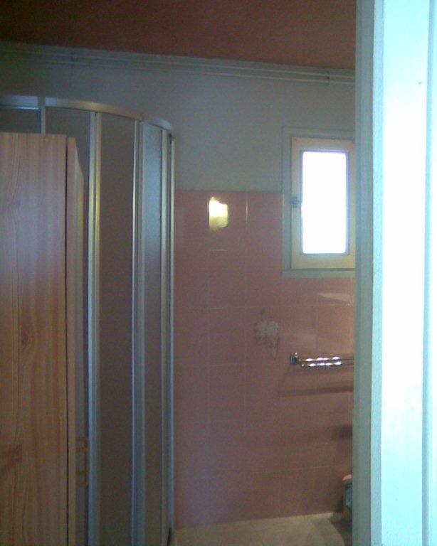 Les rosiers - Photo 16