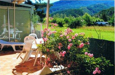 Les rosiers - Photo 17