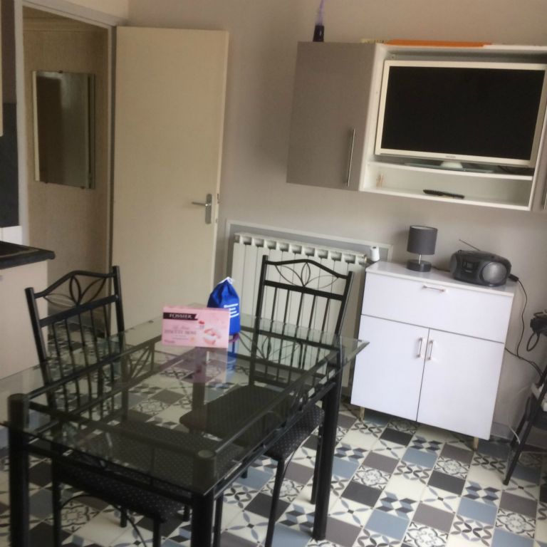 Les rosiers - Photo 20